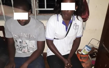 Une jeune femme et son complice risquent dix ans de prison pour trafic d’ivoire