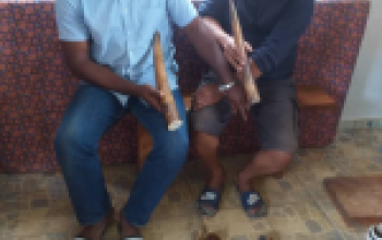 September 2021, A busy month with 3 operations and 11 wildlife traffickers arrested in Gabon