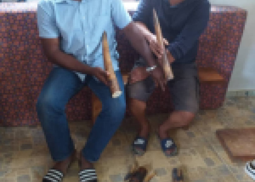 September 2021, A busy month with 3 operations and 11 wildlife traffickers arrested in Gabon