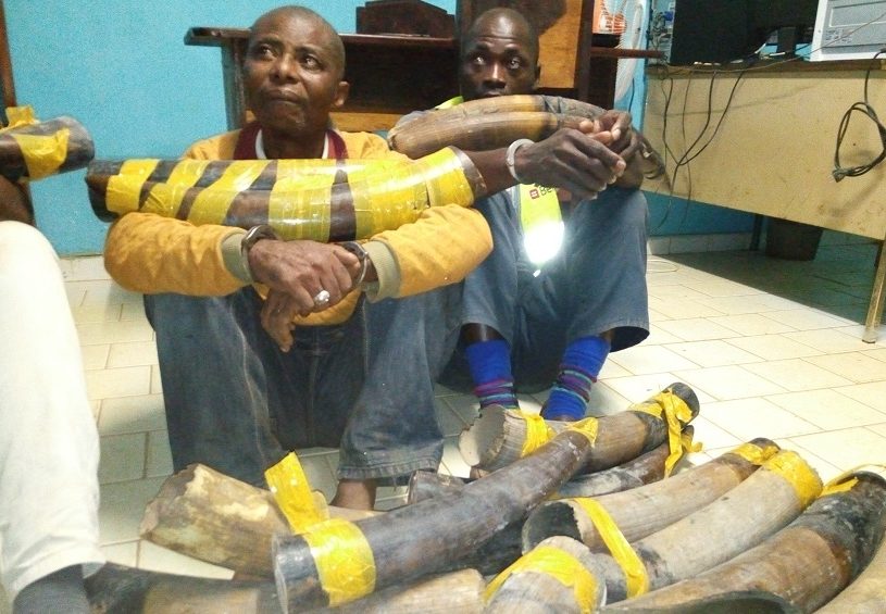 Deux trafiquants appréhendés à Makokou